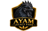 Ayam Legacy Farm