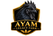Ayam Legacy Farm